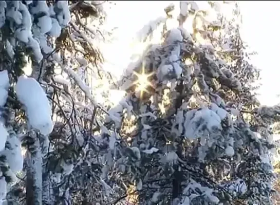 Родина Санта-Клауса - Лапландия - Рованиеми