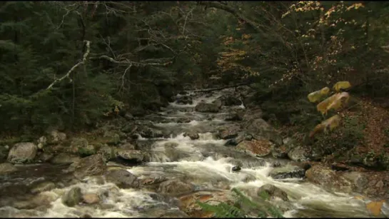 Живые пейзажи. Осень в Новой Англии