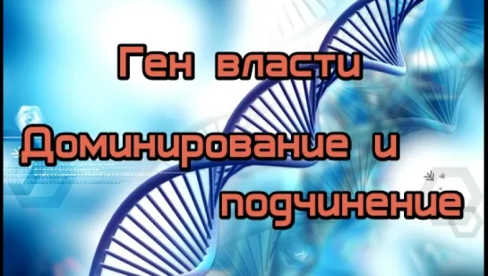 Ген власти. Доминирование и подчинение