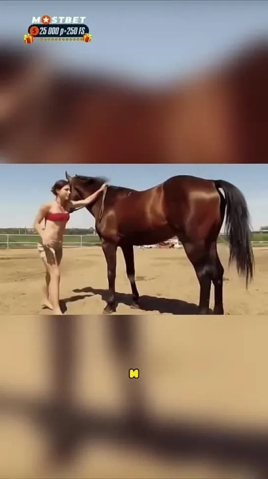 Самая Умная Лошадь 🐴