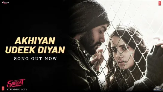 Akhiyan Udeek Diyan (Video) | Shiddat | Sunny K, Radhika M, Mohit R, Diana P | Manan B | Master Saleem