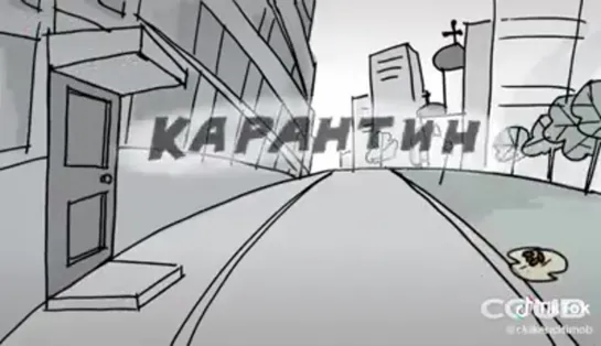 Собаки. Карантин.