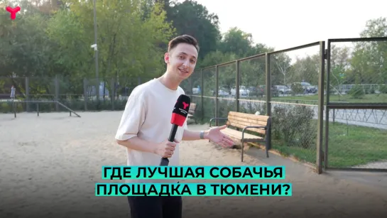 Где лучшая собачья площадка в Тюмени?