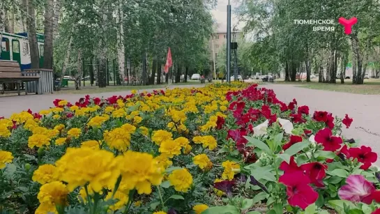 Сквер телевизионный в Тюмени