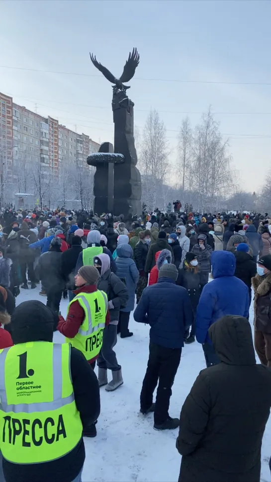 Акция протеста 23 января в Челябинске