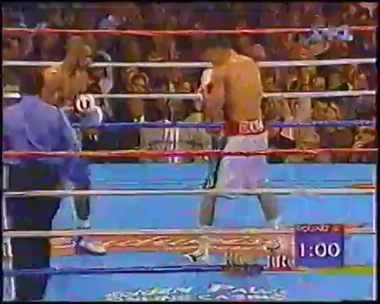 Roy Jones Jr. vs Julio Cesar Gonzalez / Рой Джонс мл.-Хулио Сезар Гонзалес