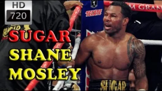 Shane Mosley - Highlights - Knockouts