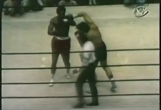 1970-08-04 George Foreman vs George Chuvalo 1970-08-04 george foreman vs george chuvalo  1970-08-04 george foreman vs george chuvalo 1970-08-04 george foreman vs george chuvalo