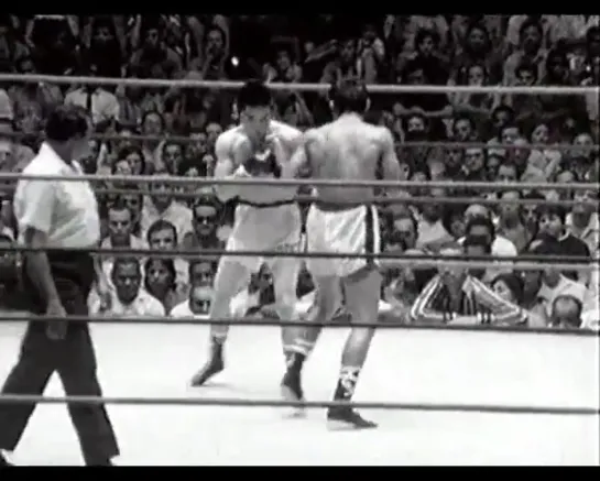 Roberto Duran Vs Hiroshi Kobayashi