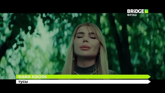 KARA KROSS - Тусы (Bridge Фрэш)