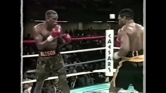 1990-01-15 Ray Mercer vs Wesley Watson