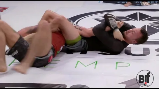 EBI 14 сполеронс #bjjfreaks_TV