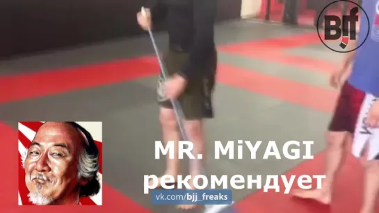 мистер  Мийяги рекомендует #bjf_humor #bjj_freaks