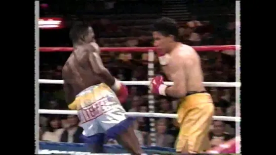 1995-04-22 Francisco Tejedor vs Danny Romero (IBF Flyweight Title)