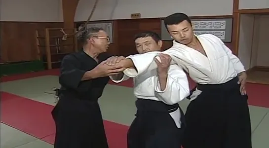 Дайто рю Айки дзюцу _ Daito Ryu Aikijujutsu_ Ikkajo Ura Techniques _ Часть 2