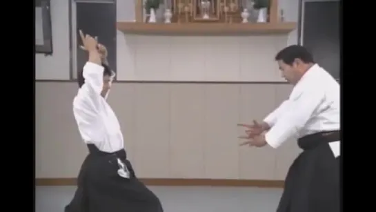 Katsuyuki Kondo Daito Ryu Aikijujutsu