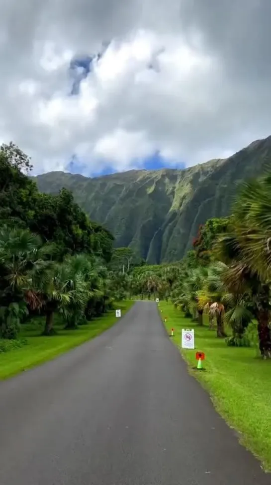 🌴 Oahu, Hawaii.