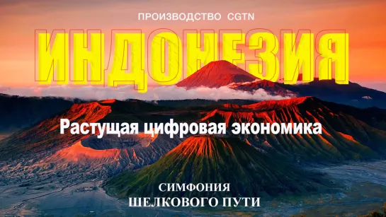 «Симфония Шелкового пути» – Индонезия: Растущая цифровая экономика