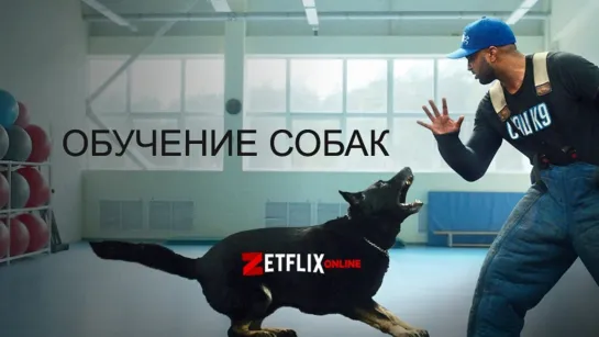 Обучение собак 1 серия / Canine Intervention (2021)