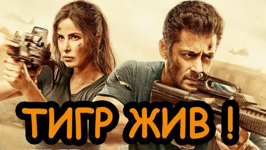 Тигр жив / Tiger Zinda Hai