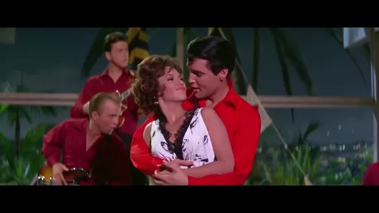 Elvis Presley - Wolf Call (OST Girl Happy, 1965) [2K Ultra HD]