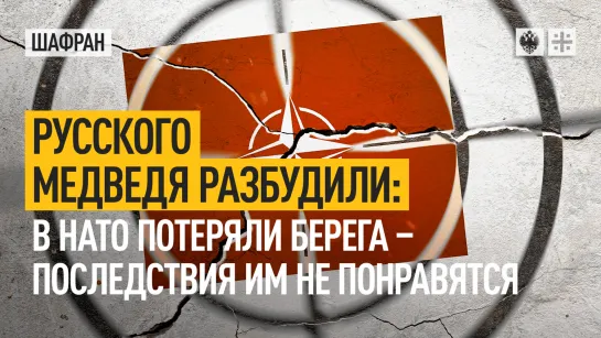 Русского медведя разбудили: в НАТО потеряли берега - последствия им не понравятся