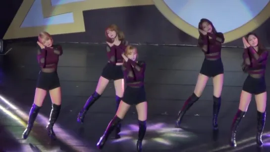 151010 AOA - Like a Cat @ AOA Heart Attack in Taipei