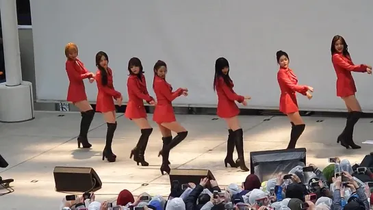 150301 AOA - Like a Cat(Japanese ver.) @Lazona Kawasaki Plaza in Kawasaki