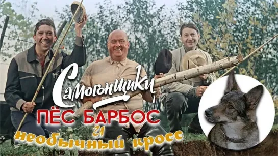 ➡ "Самогонщики, Пес Барбос и необычный кросс" (1961) Full HD 1080