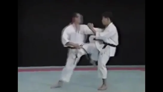 Seiji Nishimura Best Karate Punch Techniques