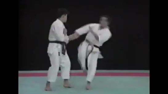 Seiji Nishimura Best Karate Kick Techniques