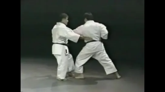 MORIO HIGAONNA GOJY RYO KARATE TECHNICAL SEMINAR