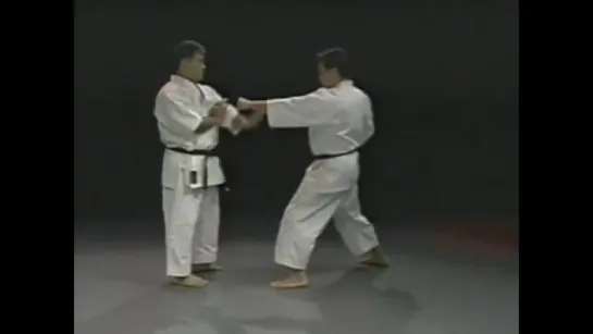 A LECTURE ON KATA AND BUNKAI BY MORIO HIGAONNA SENSEI