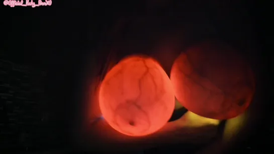 036 Halloween Flash Light Tit Lanterns_Katy Ann_1080p [PornHub] Katy Ann Amateur, HomeMade, POV onlyfans snapchat webcam