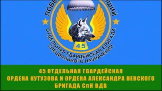 Спецназ ВДВ. 45-я гвардейская отдельная бригада спецназа ВДВ