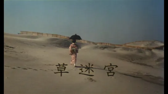 Лабиринт травы / Grass Labyrinth / Kusa meikyu (1979) dir. Shūji Terayama (RUS SUB)