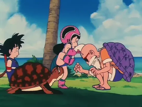 DRAGON BALL cap 8