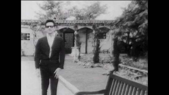 Roy Orbison - Oh,pretty woman  (1964)