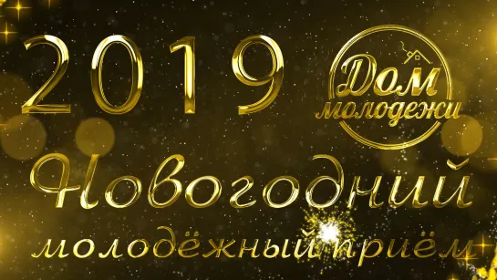 НОВОГОДНИЙ Молодёжный Приём 2019