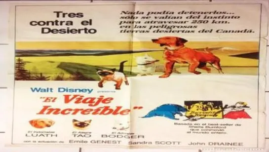 Cine infantil.- El viaje increíble.- (1963).Español 3