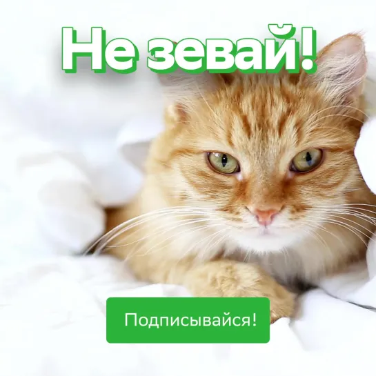 Хватит сидеть на месте!