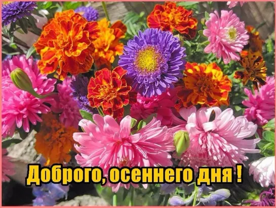 ✦░░ ●**”˜★✦★ УРА СУББОТА ˜★*★⊰❤⊱★⊰❤⊱ღ