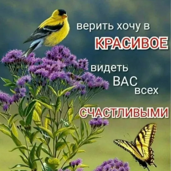 Прекрасного самочувствия, удачного вам дня, люди добрые! ●💎ஜ۩۞۩ஜ  ЗДОРОВЬЯ И ХОРОШЕГО НАСТРОЕНИЯ  ஜ۩۞۩ஜ💎●