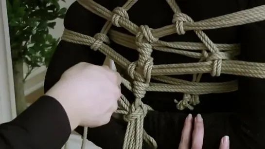 Mishibari Lesson 11