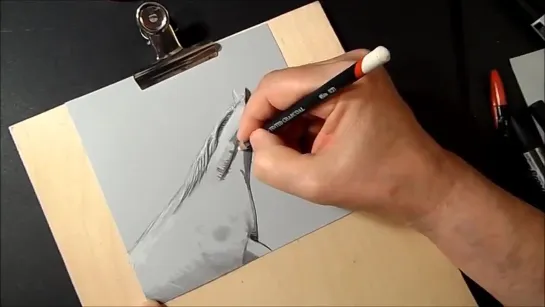 Anamorphic Illusion, Drawing a 3D Horse, Trick Art