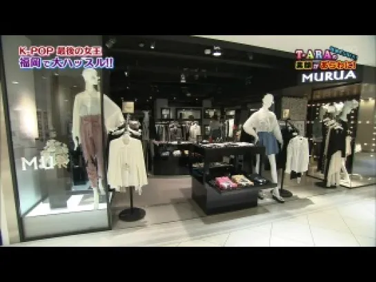 [12.02.09] T-ARA domo cut 1