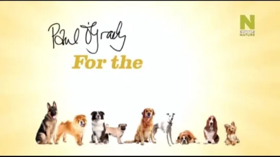 Док.сериал "Из любви к собакам / Paul O’Grady For the Love of Dogs." (2013)(Великобритания)