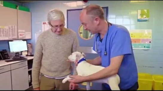 Док.сериал "Из любви к собакам / Paul O’Grady For the Love of Dogs." (2014)(Великобритания)