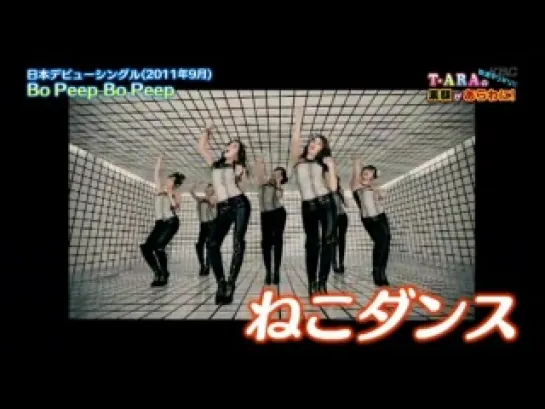 120302 T-ara @ Japan Tv Show "Duomo" P2