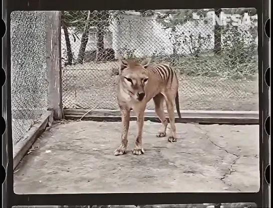 Видео от Телеканал Наука